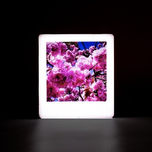MINI PHOTO LIGHT BOX - ROSE GOLD - Picture 3 of 6